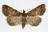  ( - RBMIS-0320)  @15 [ ] CreativeCommons - Attribution (2009) Unspecified Centre for Biodiversity Genomics