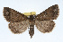  ( - RBMIS-0321)  @14 [ ] CreativeCommons - Attribution (2009) Unspecified Centre for Biodiversity Genomics