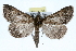  ( - RBMIS-0323)  @14 [ ] CreativeCommons - Attribution (2009) Unspecified Centre for Biodiversity Genomics