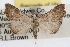  ( - RBMIS-0324)  @11 [ ] CreativeCommons - Attribution (2009) Unspecified Centre for Biodiversity Genomics