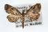  ( - RBMIS-0349)  @11 [ ] CreativeCommons - Attribution (2009) Unspecified Centre for Biodiversity Genomics