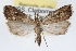  ( - RBMIS-0359)  @13 [ ] CreativeCommons - Attribution (2009) Unspecified Centre for Biodiversity Genomics