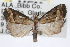  ( - RBMIS-0360)  @13 [ ] CreativeCommons - Attribution (2009) Unspecified Centre for Biodiversity Genomics