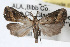  ( - RBMIS-0361)  @13 [ ] CreativeCommons - Attribution (2009) Unspecified Centre for Biodiversity Genomics