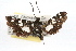  ( - RBMIS-0479)  @12 [ ] CreativeCommons - Attribution (2009) Unspecified Centre for Biodiversity Genomics