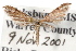  ( - RBMIS-0491)  @11 [ ] CreativeCommons - Attribution (2009) Unspecified Centre for Biodiversity Genomics