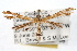  ( - RBMIS-0500)  @13 [ ] CreativeCommons - Attribution (2009) Unspecified Centre for Biodiversity Genomics