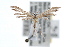  ( - RBMIS-0513)  @11 [ ] CreativeCommons - Attribution (2009) Unspecified Centre for Biodiversity Genomics
