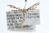  ( - RBMIS-0515)  @13 [ ] CreativeCommons - Attribution (2009) Unspecified Centre for Biodiversity Genomics