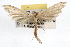  ( - RBMIS-0524)  @11 [ ] CreativeCommons - Attribution (2009) Unspecified Centre for Biodiversity Genomics