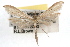  ( - RBMIS-0525)  @11 [ ] CreativeCommons - Attribution (2009) Unspecified Centre for Biodiversity Genomics