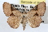  ( - RBMIS-0566)  @15 [ ] CreativeCommons - Attribution (2009) Unspecified Centre for Biodiversity Genomics