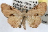  ( - RBMIS-0567)  @15 [ ] CreativeCommons - Attribution (2009) Unspecified Centre for Biodiversity Genomics