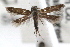  ( - RBMIS-0622)  @11 [ ] CreativeCommons - Attribution (2009) Unspecified Centre for Biodiversity Genomics