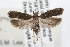  ( - RBMIS-0625)  @14 [ ] CreativeCommons - Attribution (2009) Unspecified Centre for Biodiversity Genomics