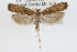  ( - RBMIS-0659)  @14 [ ] CreativeCommons - Attribution (2009) Unspecified Centre for Biodiversity Genomics