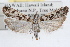  ( - RBMIS-0691)  @13 [ ] CreativeCommons - Attribution (2009) Unspecified Centre for Biodiversity Genomics