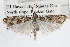  ( - RBMIS-0692)  @13 [ ] CreativeCommons - Attribution (2009) Unspecified Centre for Biodiversity Genomics