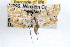  ( - RBMIS-0769)  @11 [ ] CreativeCommons - Attribution (2009) Unspecified Centre for Biodiversity Genomics