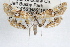  ( - RBMIS-0770)  @14 [ ] CreativeCommons - Attribution (2009) Unspecified Centre for Biodiversity Genomics