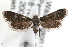  ( - RBMIS-0774)  @13 [ ] CreativeCommons - Attribution (2009) Unspecified Centre for Biodiversity Genomics