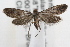  ( - RBMIS-0777)  @13 [ ] CreativeCommons - Attribution (2009) Unspecified Centre for Biodiversity Genomics