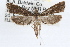  ( - RBMIS-0790)  @11 [ ] CreativeCommons - Attribution (2009) Unspecified Centre for Biodiversity Genomics