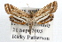  ( - RBMIS-0791)  @11 [ ] CreativeCommons - Attribution (2009) Unspecified Centre for Biodiversity Genomics