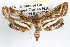  ( - RBMIS-0792)  @11 [ ] CreativeCommons - Attribution (2009) Unspecified Centre for Biodiversity Genomics