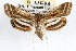  ( - RBMIS-0793)  @11 [ ] CreativeCommons - Attribution (2009) Unspecified Centre for Biodiversity Genomics