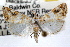  ( - RBMIS-0848)  @11 [ ] CreativeCommons - Attribution (2009) Unspecified Centre for Biodiversity Genomics