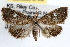  ( - RBMIS-0853)  @11 [ ] CreativeCommons - Attribution (2009) Unspecified Centre for Biodiversity Genomics