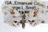  (Lipocosma septa - RBMIS-0886)  @14 [ ] CreativeCommons - Attribution (2009) Unspecified Centre for Biodiversity Genomics