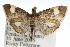  ( - RBMIS-0911)  @11 [ ] CreativeCommons - Attribution (2009) Unspecified Centre for Biodiversity Genomics