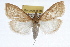  ( - RBMIS-0929)  @14 [ ] CreativeCommons - Attribution (2009) Unspecified Centre for Biodiversity Genomics