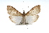  ( - RBMIS-0933)  @13 [ ] CreativeCommons - Attribution (2009) Unspecified Centre for Biodiversity Genomics