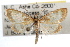  ( - RBMIS-0939)  @14 [ ] CreativeCommons - Attribution (2009) Unspecified Centre for Biodiversity Genomics