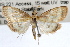  ( - RBMIS-0940)  @13 [ ] CreativeCommons - Attribution (2009) Unspecified Centre for Biodiversity Genomics