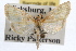  ( - RBMIS-0941)  @13 [ ] CreativeCommons - Attribution (2009) Unspecified Centre for Biodiversity Genomics