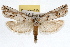  ( - RBMIS-0956)  @11 [ ] CreativeCommons - Attribution (2009) Unspecified Centre for Biodiversity Genomics