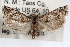  ( - RBMIS-0958)  @11 [ ] CreativeCommons - Attribution (2009) Unspecified Centre for Biodiversity Genomics