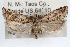  ( - RBMIS-0959)  @11 [ ] CreativeCommons - Attribution (2009) Unspecified Centre for Biodiversity Genomics