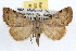  ( - RBMIS-1111)  @13 [ ] CreativeCommons - Attribution (2009) Unspecified Centre for Biodiversity Genomics