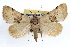  ( - RBMIS-1114)  @13 [ ] CreativeCommons - Attribution (2009) Unspecified Centre for Biodiversity Genomics