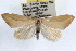  ( - RBMIS-1128)  @11 [ ] CreativeCommons - Attribution (2009) Unspecified Centre for Biodiversity Genomics