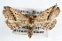  ( - RBMIS-1139)  @14 [ ] CreativeCommons - Attribution (2009) Unspecified Centre for Biodiversity Genomics