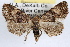  ( - RBMIS-1158)  @14 [ ] CreativeCommons - Attribution (2010) Unspecified Centre for Biodiversity Genomics