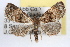  ( - RBMIS-1159)  @14 [ ] CreativeCommons - Attribution (2010) Unspecified Centre for Biodiversity Genomics