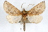  ( - RBMIS-1181)  @14 [ ] CreativeCommons - Attribution (2010) Unspecified Centre for Biodiversity Genomics
