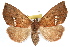  ( - RBMIS-1189)  @14 [ ] CreativeCommons - Attribution (2010) Unspecified Centre for Biodiversity Genomics